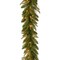 National Tree Company Pre-Lit Feel Real® Artificial Christmas Garland, Green, Frasier Grande, White Lights, Plug In, Christmas Collection, 9 Feet